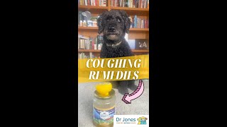 Quick and Easy Dog Coughing Remedies shorts [upl. by Ynnus]