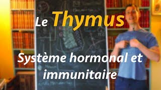 Le Thymus  systeme endocrinien épisode 04 [upl. by Lancelle]