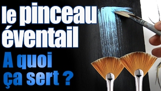 A quoi sert le pinceau éventail   fan brush [upl. by Rigdon902]