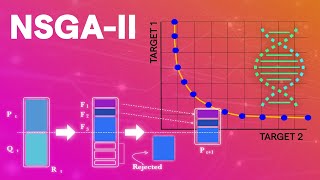 NSGAII Optimization Understand fast how it works complete explanation [upl. by Glennis137]