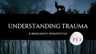 Understanding Trauma Pt 3 [upl. by Ise333]