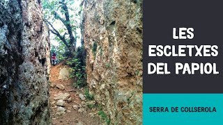 Les escletxes del Papiol  Serra de Collserola [upl. by Tace268]