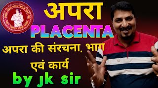 मानव जनन क्लास 12  human reproduction class 12  prasav class 12 parturition  pregnancy test [upl. by Alekahs286]