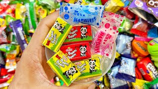 Boom Boom Panda Bubble gum  Cute Rainbow Chunky CandiesLollipops and Chocolates Unpacking  ASMR [upl. by Novanod819]