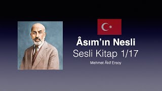 Asımın Nesli 117  Mehmet Akif Ersoy  Sesli Kitap [upl. by Lhok322]