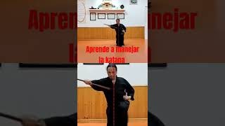 Aprende a manejar la katana ghostoftsushima ninjitsu iaido artesmarciales kendo ninjutsu [upl. by Trevlac]