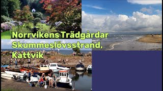 Norrvikens Trädgårdar Skummeslövs strand Kattvik Kattvik [upl. by Obe]