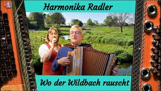 Wo der Wildbach rauscht  von Winfried Zillig [upl. by Hoashis137]