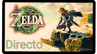 Link en Tears of the Kindom zeldatearsofthekingdom zelda switch nintendo TOTK🍀🍄🎮 [upl. by Salomon]