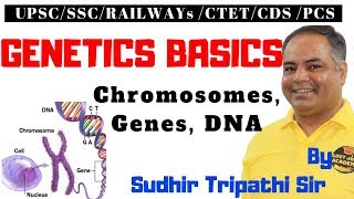 Genetics Basics  Chromosomes Genes DNA For RRB NTPCSSCUPSC By Sudhir Tripathi Si [upl. by Milman]