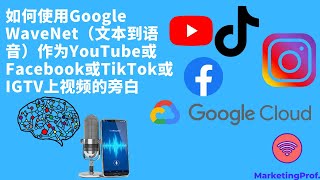 Google文字转语音如何使用  语音 生成 下载 【 MP3 Wavenet text to speech 科技 】 [upl. by Boj159]