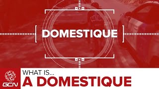 What Is A Domestique  Road Racing Explained [upl. by Oicul402]