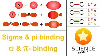 Sigma en pi binding  orbitalen en kwantumgetallen [upl. by Rosemare736]