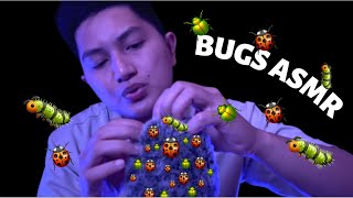 ASMR BUGS Searching and Plucking🐞 [upl. by Nosydam]