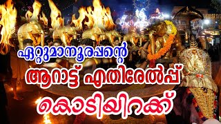 Ettumanoor Temple Utsavam 2024 ആറാട്ട് എതിരേൽപ്പ് കൊടിയിറക്ക് [upl. by Dloreg437]