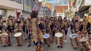 FZ Daugendorf am Fasnetsdienstag 2024 in Riedlingen 8 Video [upl. by Nylanej]