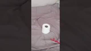 Trick shot with a toilet paper [upl. by Ahsitan18]