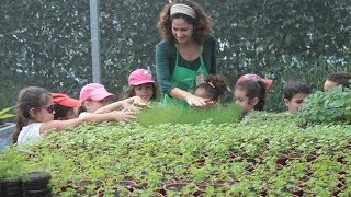 Projeto de Educação Ambiental quotDedinho Verdequot na Sabor de Fazenda [upl. by Valenba]