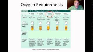 Microbial Growth Part 1 [upl. by Borlow]