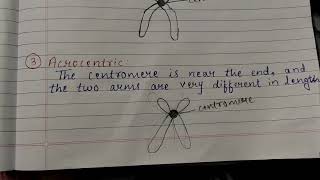 Easy explanation of Types of Chromosomes based on the position of centromere [upl. by Ardeth662]