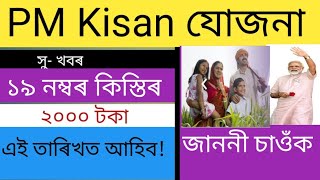 PM Kisan 19th installment date 20242025  pmkisannewupdate [upl. by Pond]