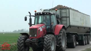 wwwloonbedrijfdenengelsmannl  Aardappel transport met de Massey Ferguson 6485 [upl. by Vullo]