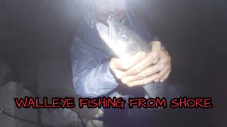 WALLEYE FISHING FROM SHORE  ST CLAIR RIVER [upl. by Nnylarac]