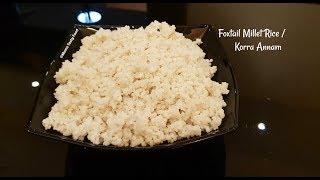 కొర్ర అన్నం  Korralu Foxtail Millet  Rice  How to Make Foxtail Millet Rice  Gluten Free [upl. by Dewey]