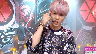 【TVPP】EXO  Growl 엑소  으르렁  Comeback Stage Show Music Core Live [upl. by Wagoner]