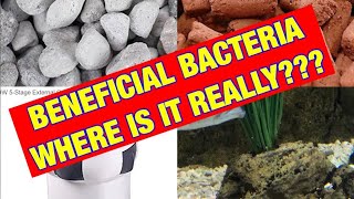 Beneficial BacteriaWHERE IS IT REALLY [upl. by Nets]