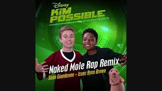 Naked Mole Rap Remix From Kim Possible [upl. by Vatsug]