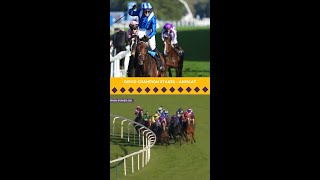 What a finish in the WAYI QIPCO Champion Stakes [upl. by Enneyehs]