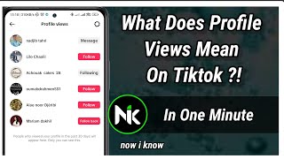 What Does Profile Views Means On Tiktok 2024 [upl. by Natika]