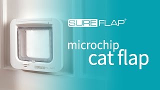 Setting Up Your SureFlap Microchip Cat Flap [upl. by Ilyah269]