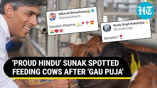 Sanatani Sunak UK PMs Picture of Feeding Cows Swirls Internet After Proud Hindu Swagger [upl. by Oicnanev]