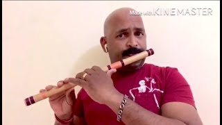 Mandara cheppundo flute [upl. by Childers988]