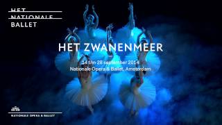 Het Zwanenmeer  Het Nationale Ballet  Dutch National Ballet [upl. by Atteuqihc749]