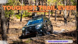 Toughest trail ever Lets take the Subaru Forester offroad and see what it can do [upl. by Enelyak]