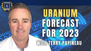 These are the Uranium Stocks Im Most Bullish On For 2023 Terry Papineau [upl. by Friedland]