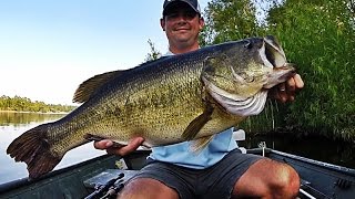 Topwater Bass Fishing Blowups Series 6  50 Big Bass Strikes [upl. by Savell]