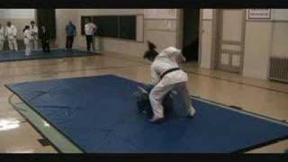 Johanne Connolly Zinck KyushuRyu JuJitsu Brown Belt Clip [upl. by Boyer639]