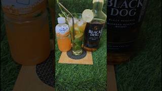 BLACK DOG WHISKY WITH MOGU MOGU [upl. by Werdnael]