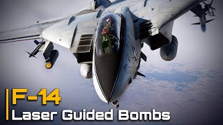 DCS F14  How to use Laser Guided Bombs [upl. by Drahsar]