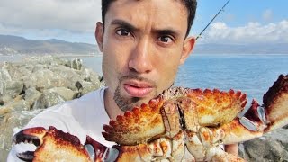 Crab Snare Fishing for HUGE Rock Crabs in Half Moon Bay Jetty [upl. by Ajat]