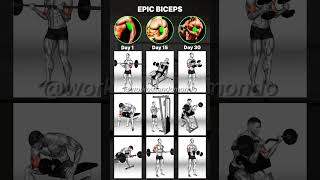 30DAY EPIC BICEPS WORKOUT CHALLENGE Build Bigger Arms Fast [upl. by Toiboid]