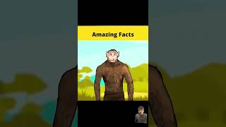 Top 3 real stories amazingfacts uwoodworkerfacts [upl. by Ashlin]