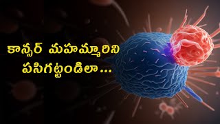 కేన్సర్ మొదలయ్యేది ఎలా  కేన్సర్ రహస్యాలు2  How Does Cancer Start [upl. by Kado780]