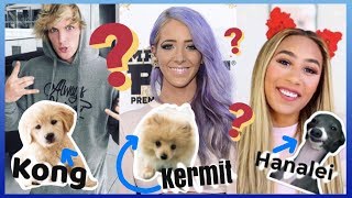 Famous YouTubers Dogs Jenna Marbles Logan Paul MyLifeAsEva Dogs [upl. by Novehs]