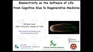 Bioelectricity as the Software of Life from cognitive glue to regenerative medicine [upl. by Rolland153]