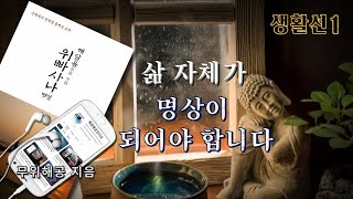 지금 있는 그 자리가 가장 최선의 자리입니다 무위해공 명상위빠사나오디오북 [upl. by Goldsworthy733]